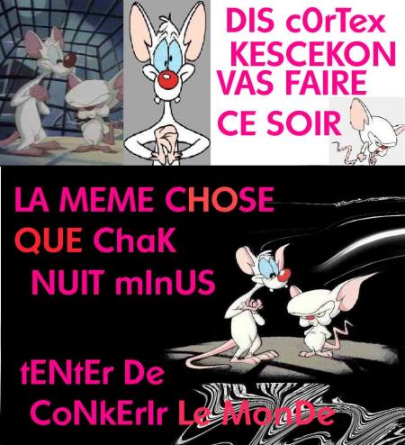 montage maison hihi sa cé mes deu zamour